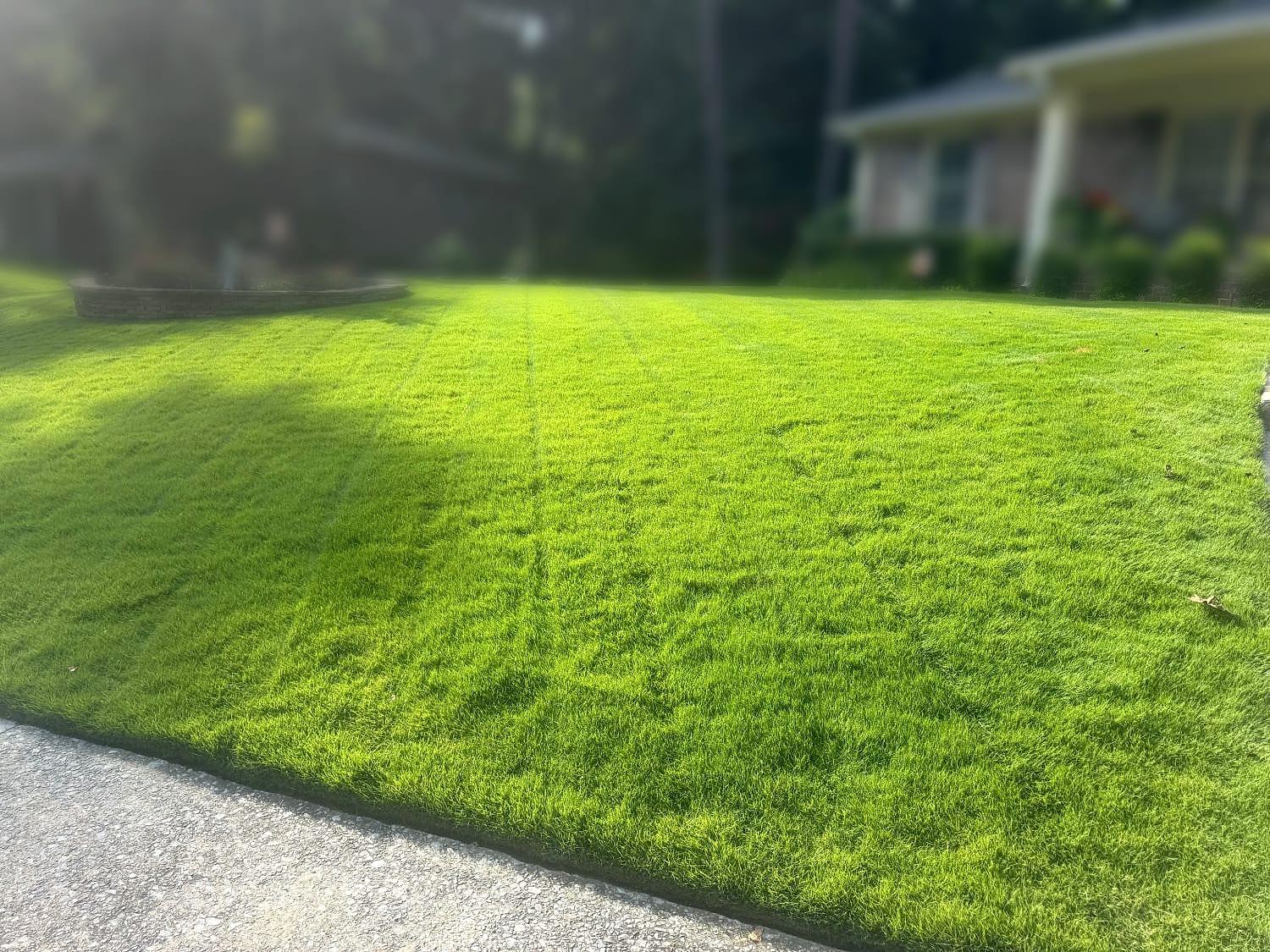 Freshly mowed, striped front lawn maintained by Summit Landscaping
