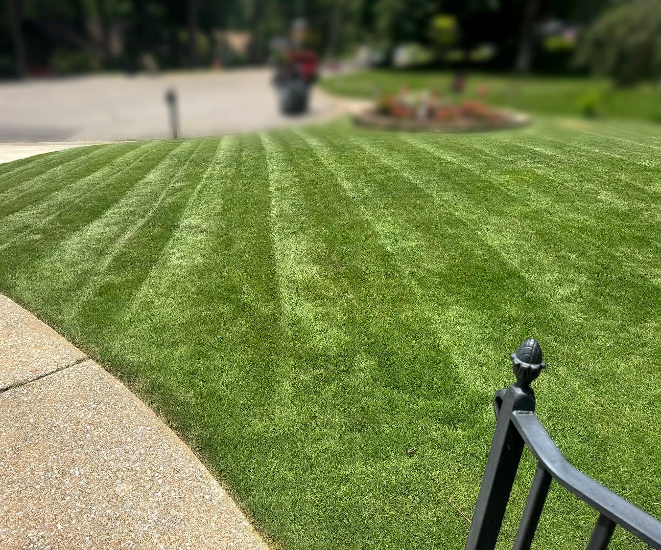 Freshly mowed lawn with bold stripes, maintained by Summit Landscaping in Greater Birmingham