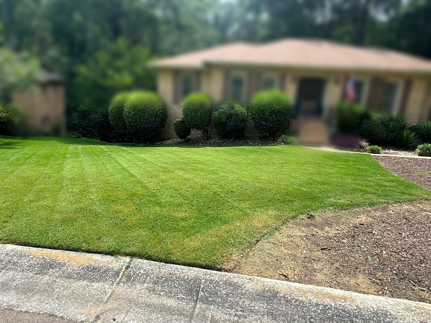 Striped lawn and trimmed shrubs maintained by Summit Landscaping