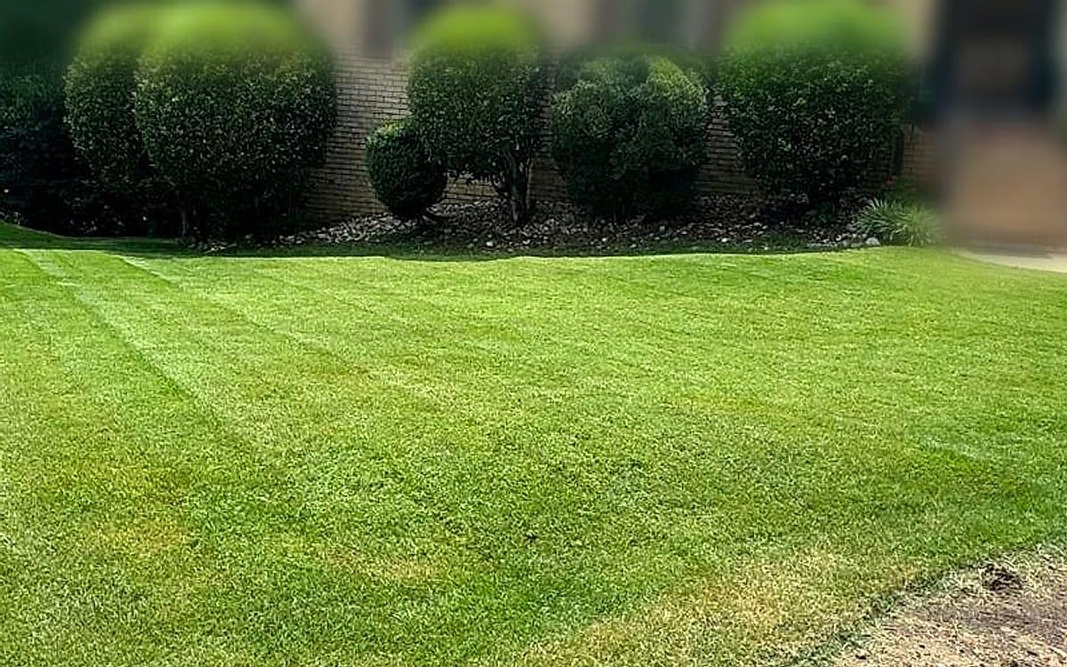 Neatly rounded shrubs along the front of a home, trimmed by Summit Landscaping
